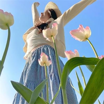 全面搜寻圣诞狗狗